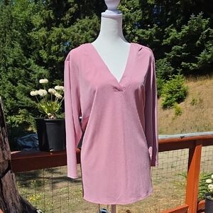Banana Republic Soft Pink V-Neck Blouse (T-16)